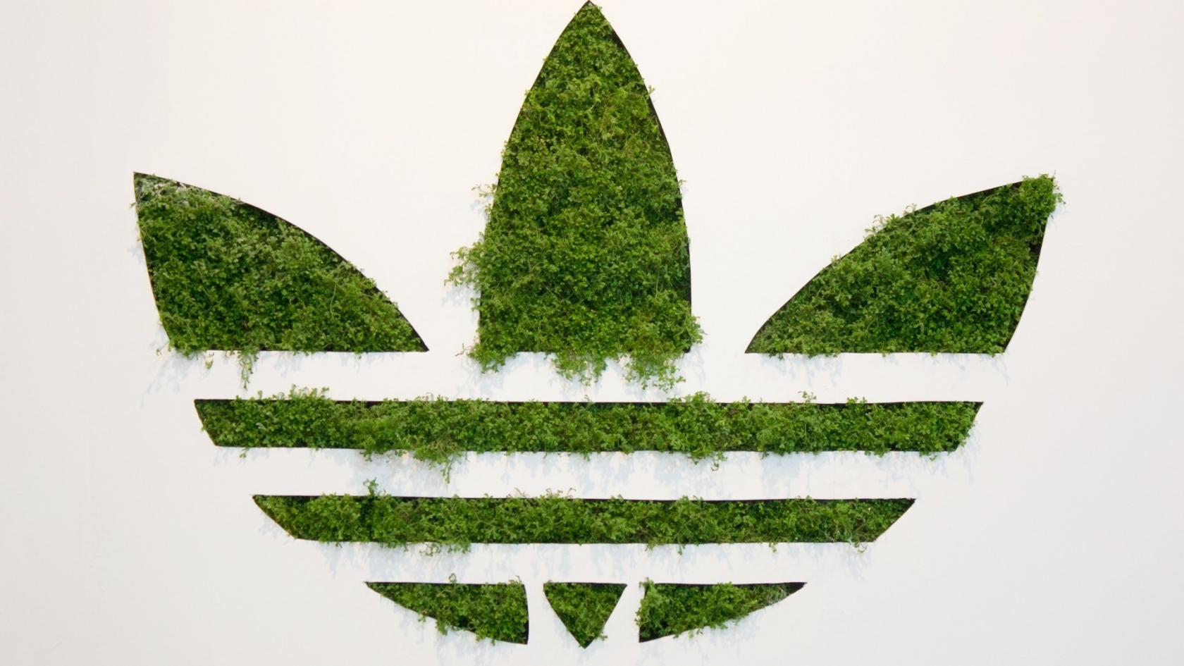 Adidas Green Logo for 1680 x 945 HDTV resolution