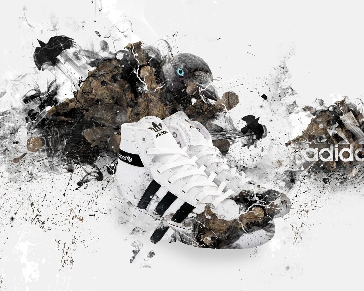 Adidas Shoes for 1280 x 1024 resolution