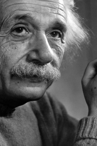 Albert Einstein Monochrome for 320 x 480 iPhone resolution