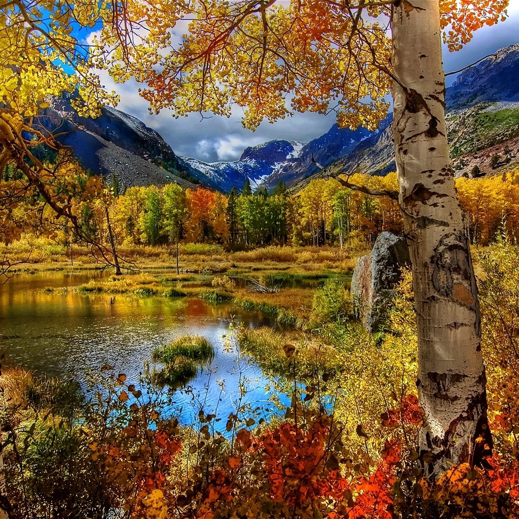 Amazing Autumn View for 1024 x 1024 iPad resolution