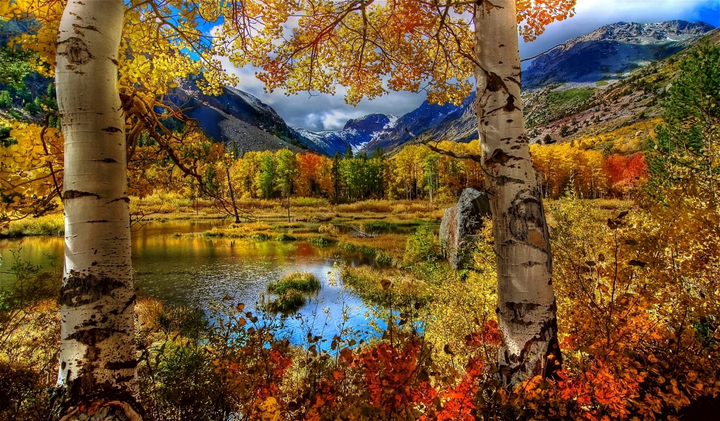 Amazing Autumn View for 1024 x 600 widescreen resolution