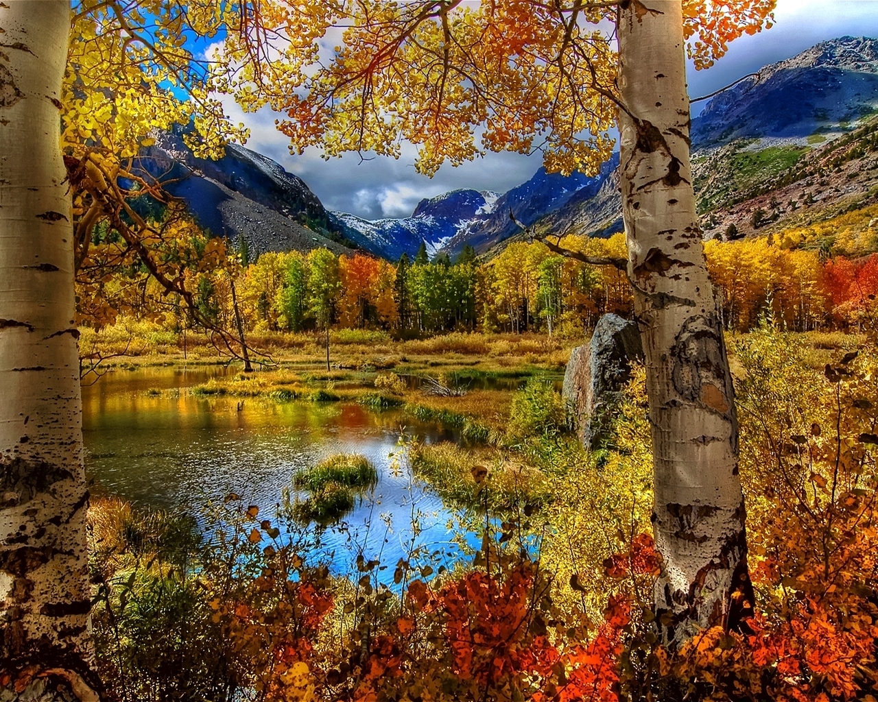 Amazing Autumn View for 1280 x 1024 resolution