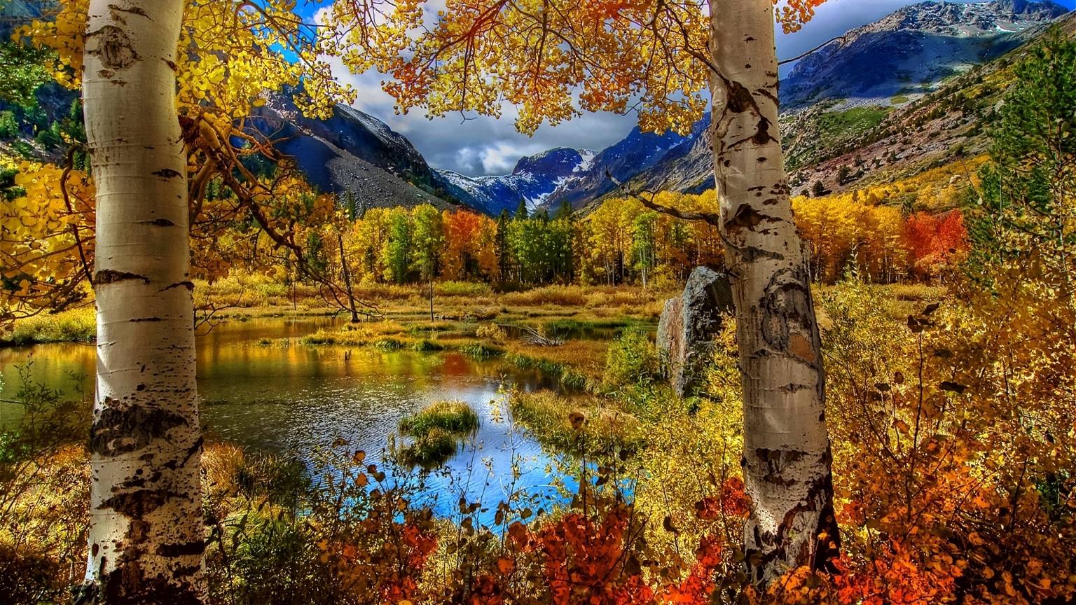 Amazing Autumn View for 1536 x 864 HDTV resolution