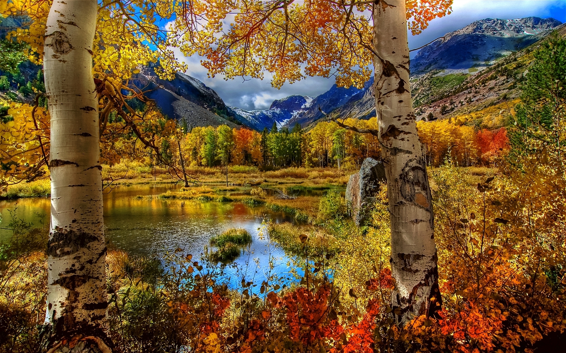 Amazing Autumn View for 1920 x 1200 widescreen resolution