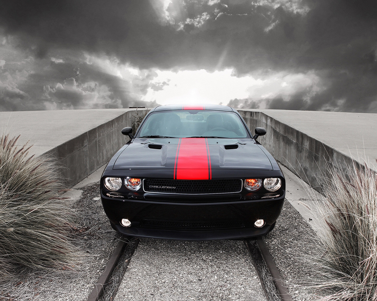 Amazing Dodge Challenger for 1280 x 1024 resolution