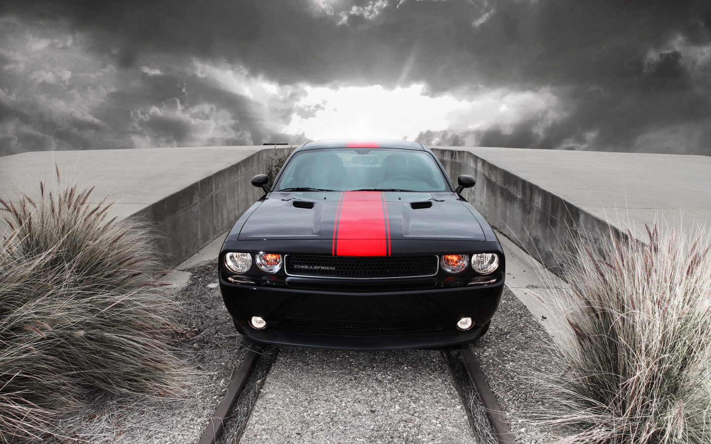 Amazing Dodge Challenger for 1440 x 900 widescreen resolution