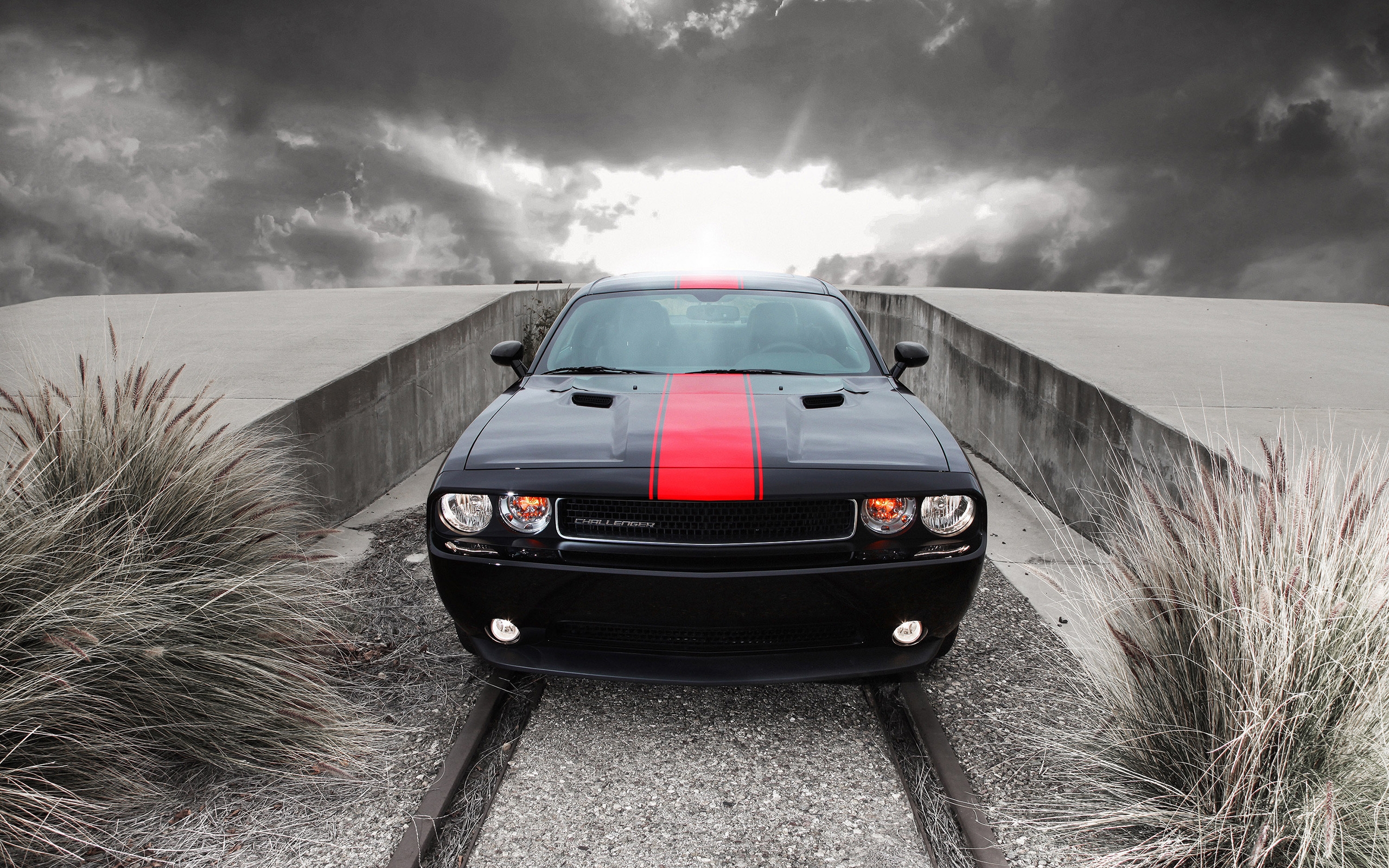 Amazing Dodge Challenger for 2560 x 1600 widescreen resolution