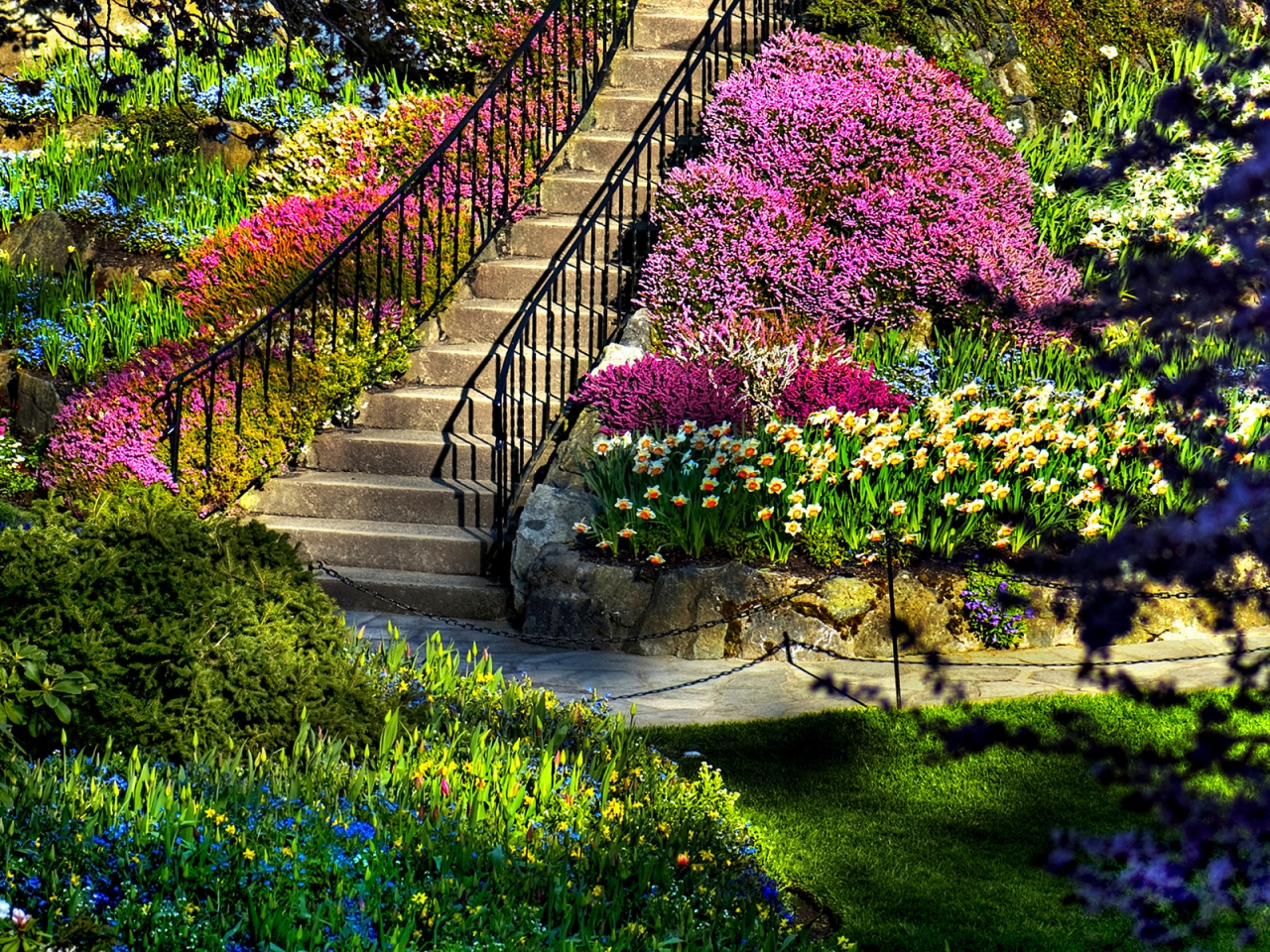 Amazing Garden for 1280 x 960 resolution