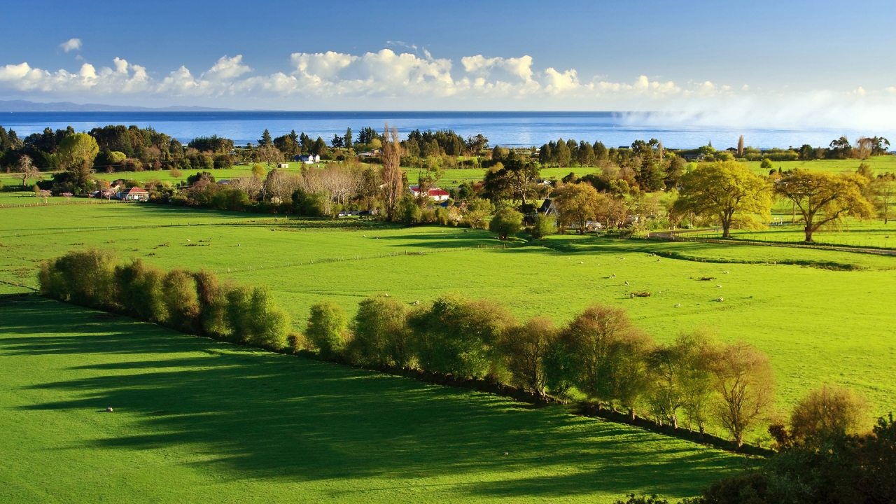 Amazing Green Landscape for 1280 x 720 HDTV 720p resolution