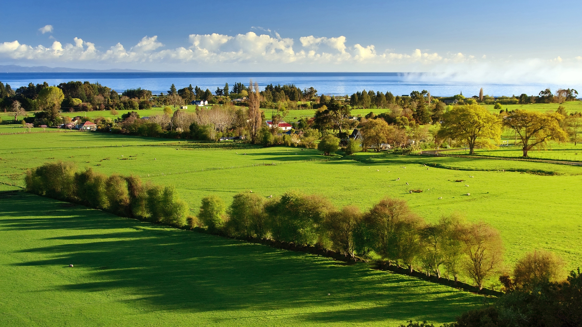 Amazing Green Landscape for 1920 x 1080 HDTV 1080p resolution