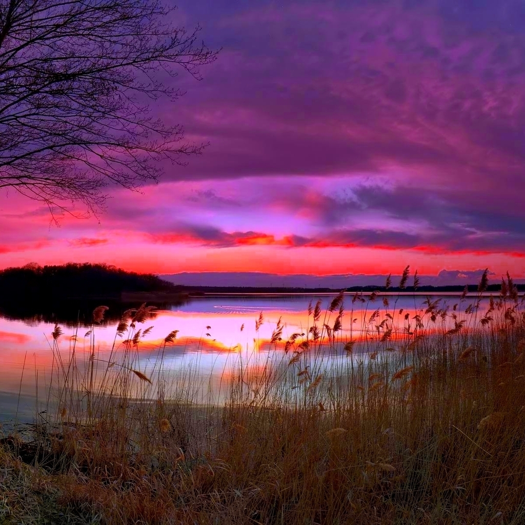 Amazing Purple Sunset for 1024 x 1024 iPad resolution