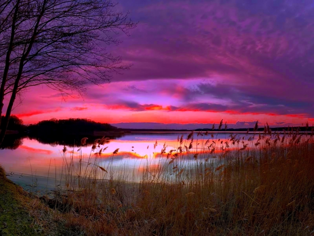 Amazing Purple Sunset for 1024 x 768 resolution
