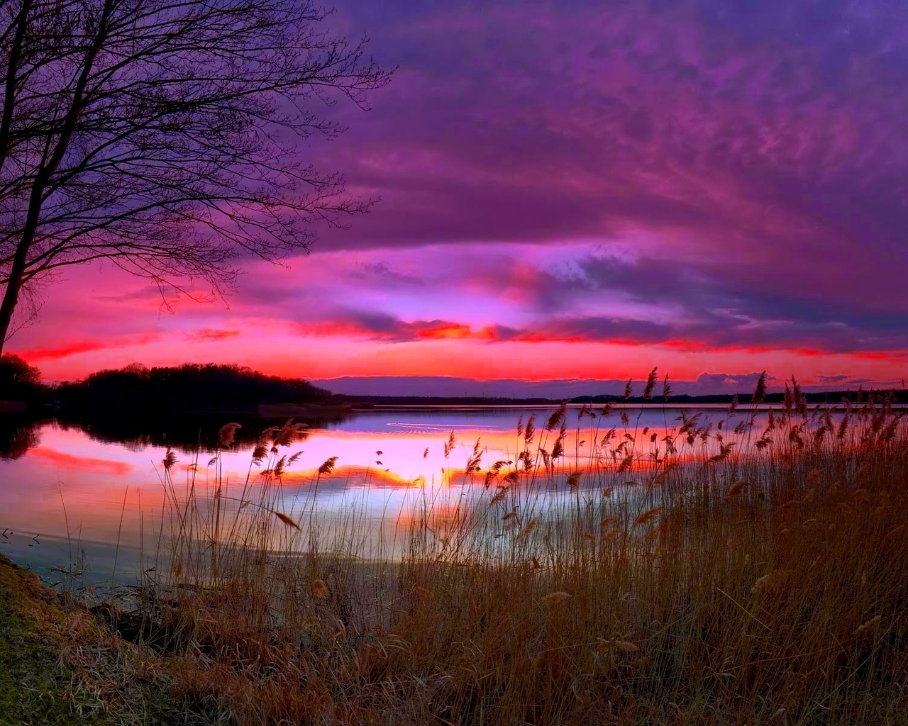 Amazing Purple Sunset for 1280 x 1024 resolution