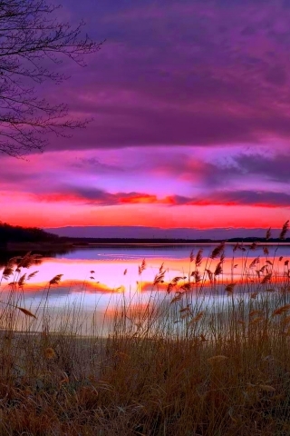 Amazing Purple Sunset for 320 x 480 iPhone resolution