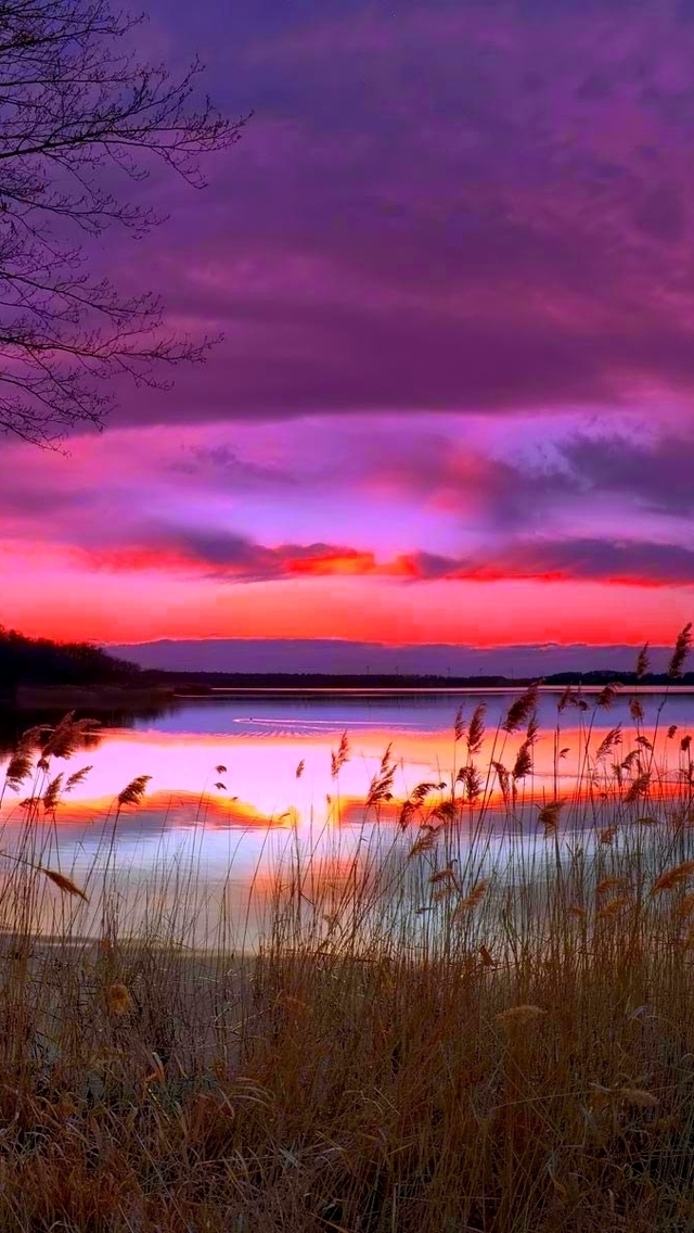 Amazing Purple Sunset for 640 x 1136 iPhone 5 resolution
