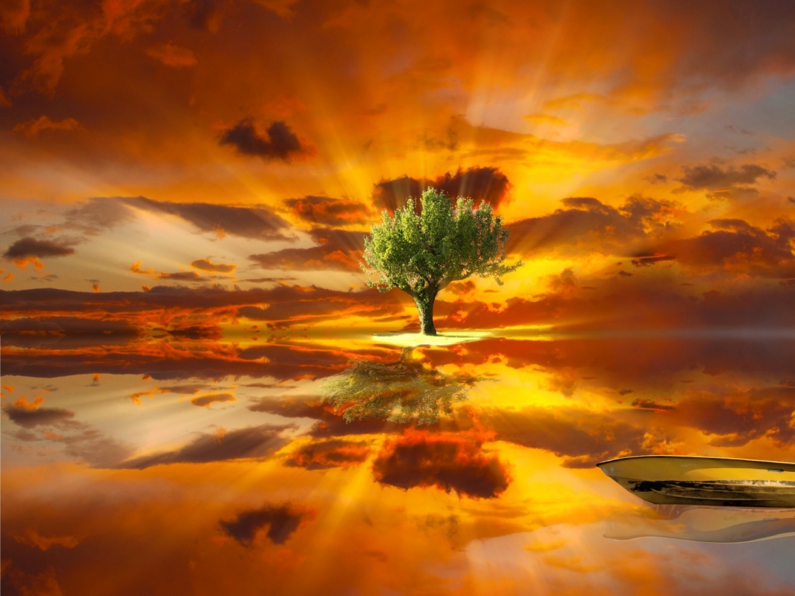 Amazing Tree Landscape for 1152 x 864 resolution