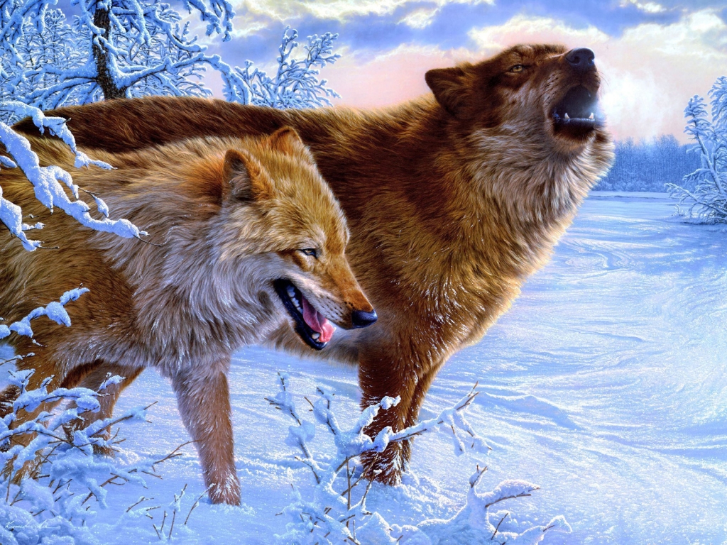 Amazing Wolves for 1024 x 768 resolution