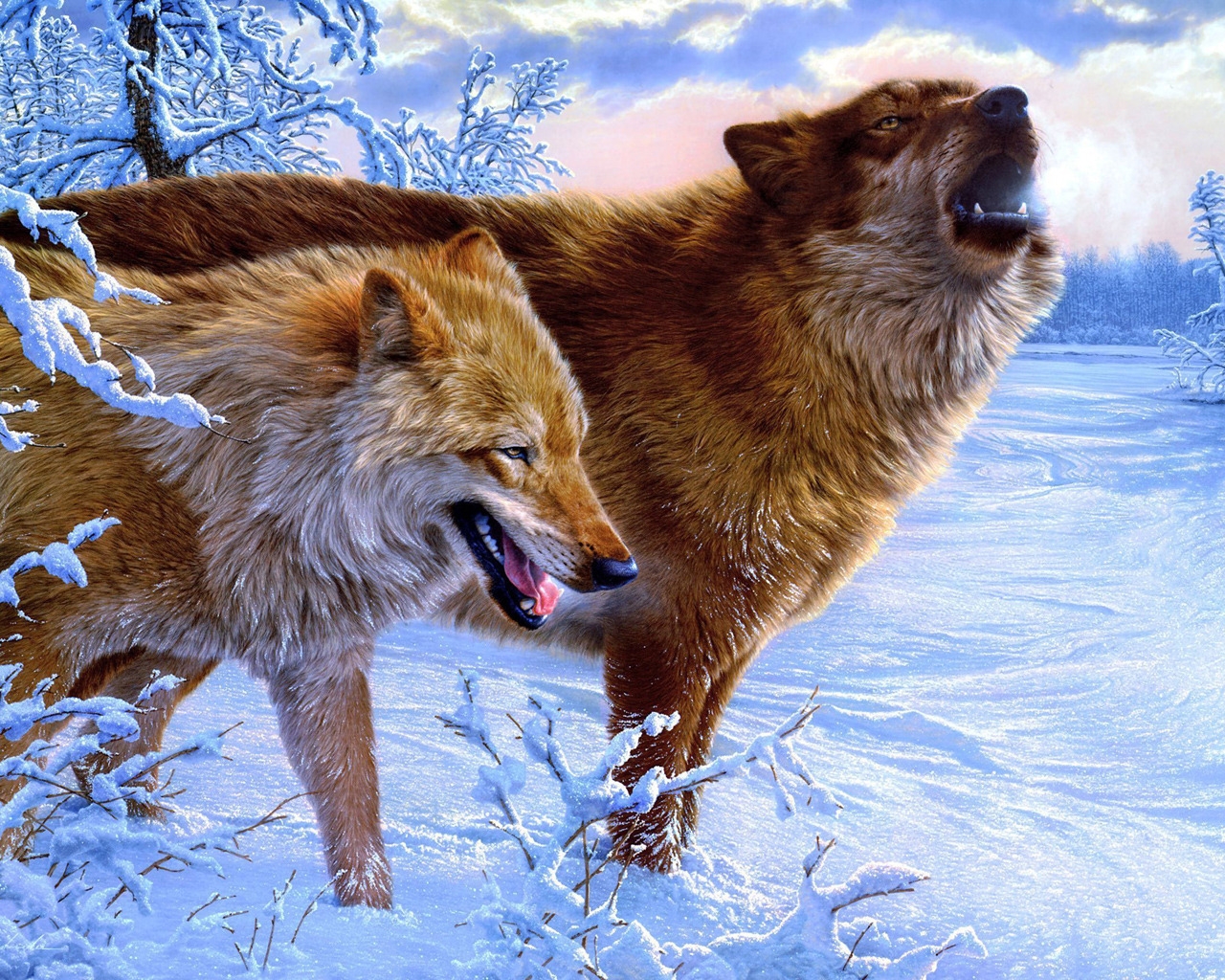 Amazing Wolves for 1280 x 1024 resolution