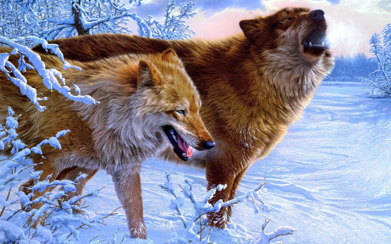 Amazing Wolves for 1280 x 800 widescreen resolution
