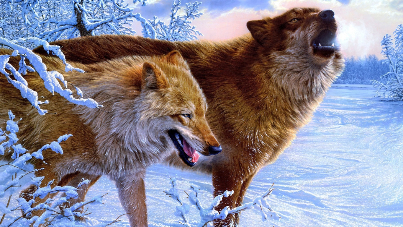 Amazing Wolves for 1366 x 768 HDTV resolution