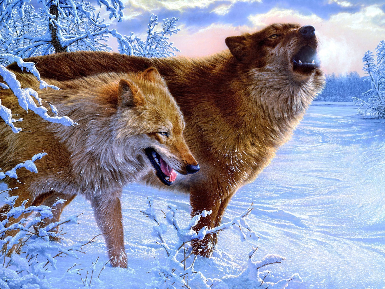 Amazing Wolves for 1600 x 1200 resolution