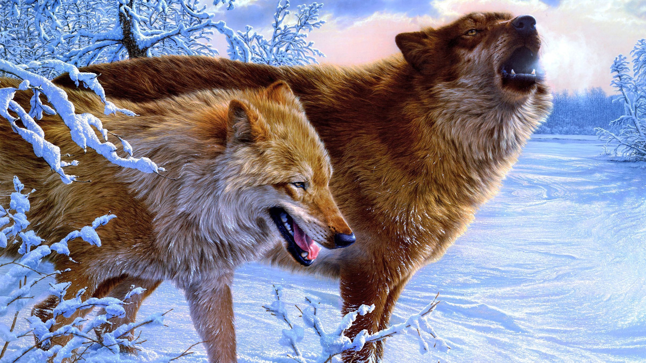 Amazing Wolves for 2560x1440 HDTV resolution