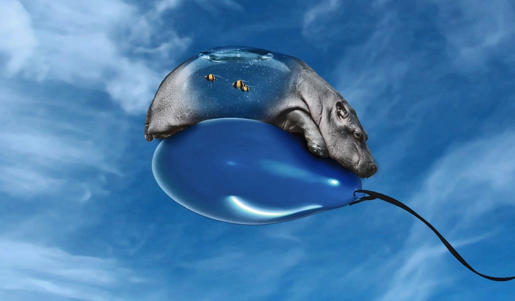 Animal on Balloon for 1024 x 600 widescreen resolution
