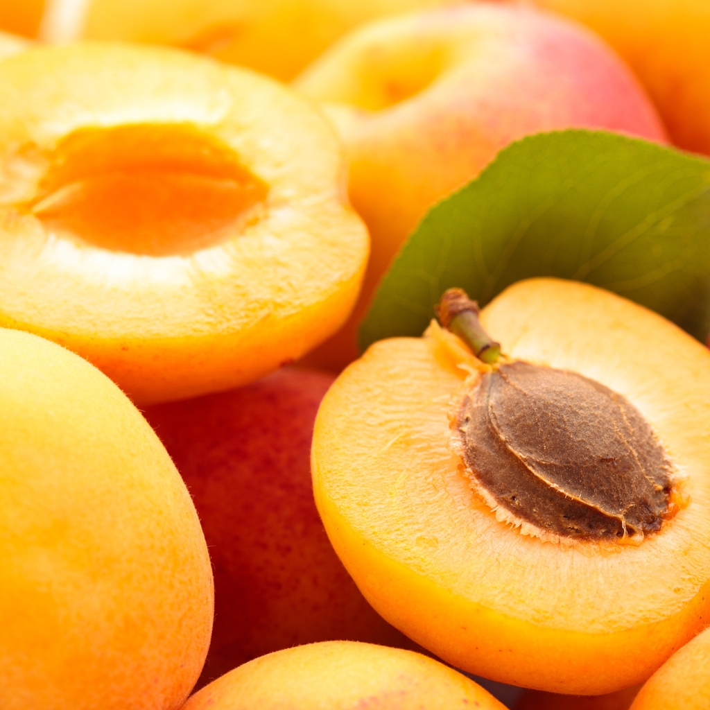Apricots  for 1024 x 1024 iPad resolution