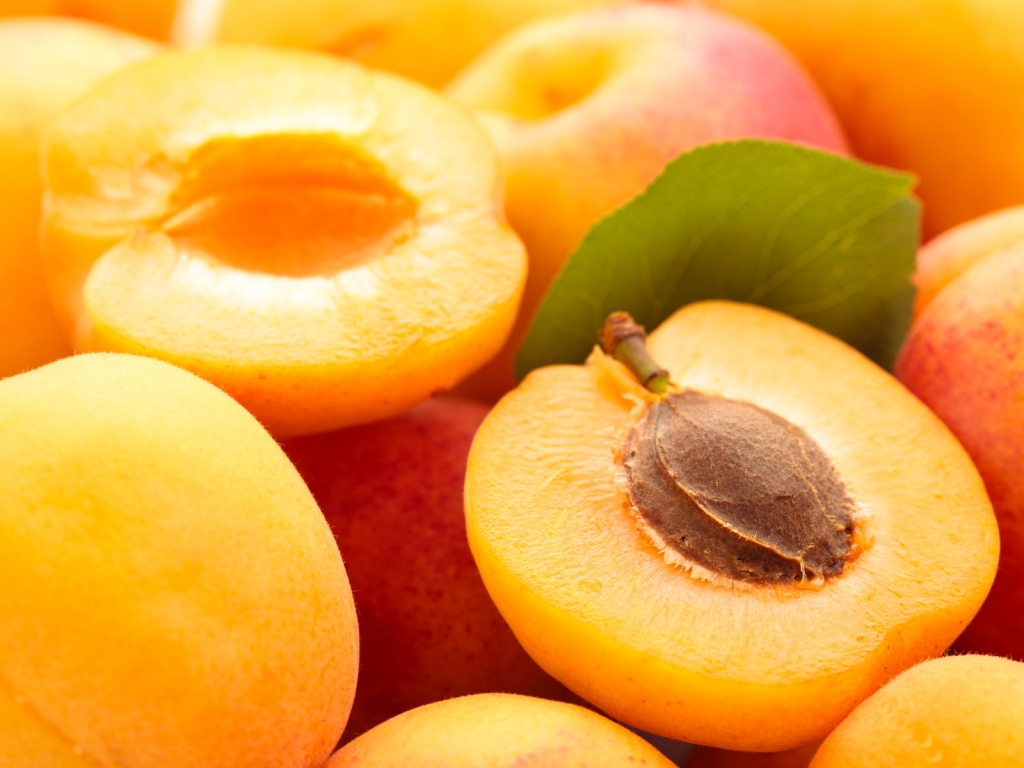 Apricots  for 1024 x 768 resolution