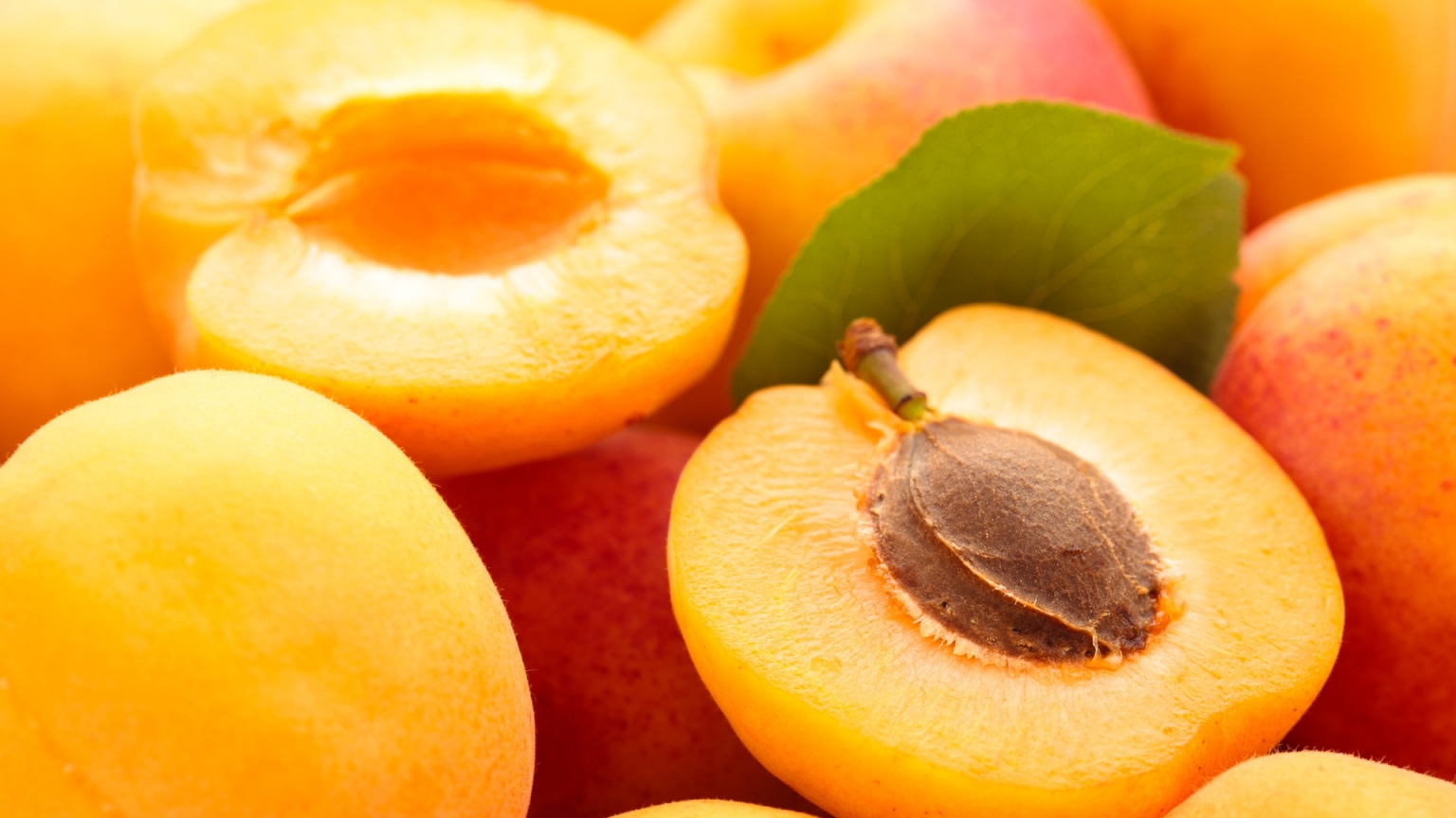 Apricots  for 1536 x 864 HDTV resolution