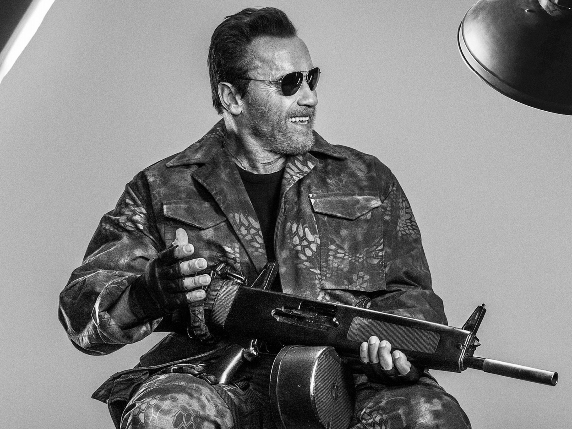 Arnold Schwarzenegger The Expendables 3 for 1152 x 864 resolution
