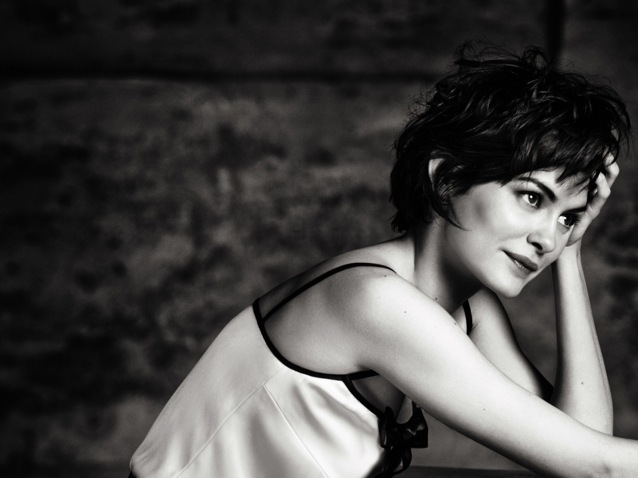 Audrey Tautou for 1280 x 960 resolution