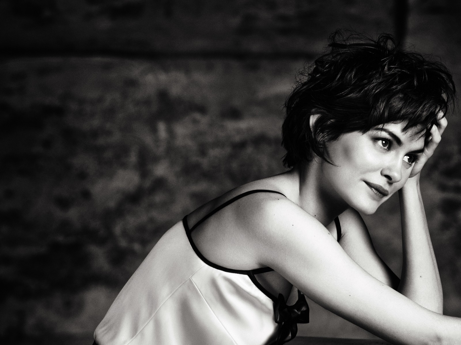 Audrey Tautou for 1600 x 1200 resolution