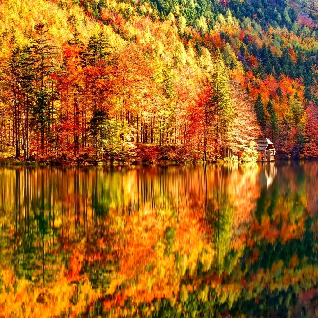 Autumn Landscape for 1024 x 1024 iPad resolution
