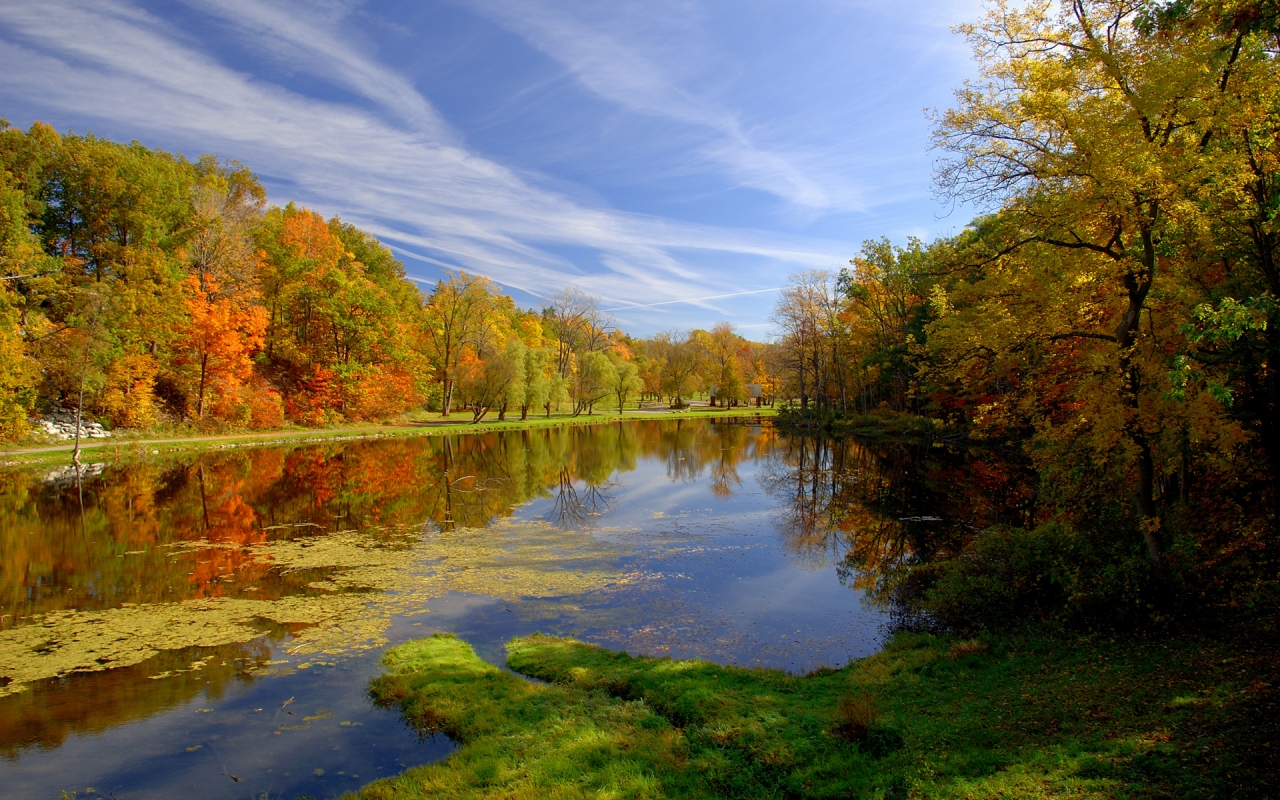 Autumn Landscape for 1280 x 800 widescreen resolution