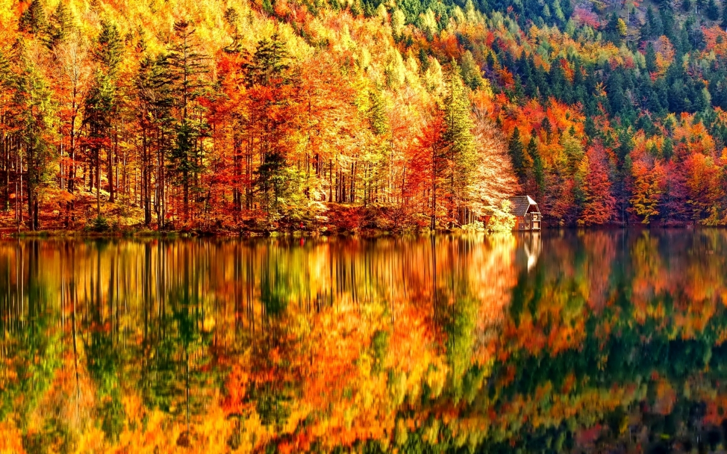 Autumn Landscape 1440 x 900 widescreen Wallpaper