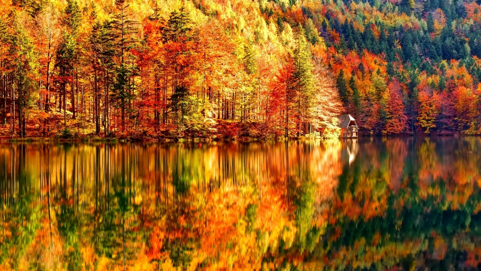 Autumn Landscape for 1536 x 864 HDTV resolution