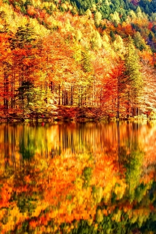 Autumn Landscape for 320 x 480 iPhone resolution