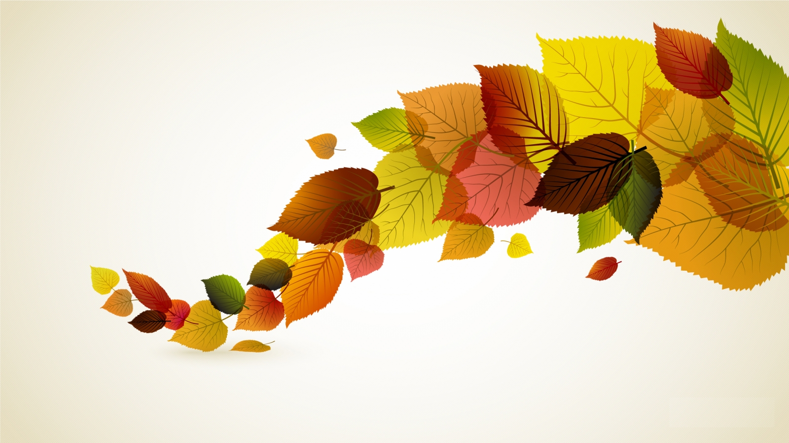 Autumn Leaves for 1600 x 900 HDTV resolution