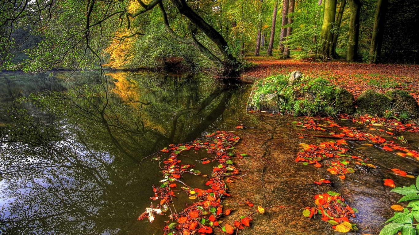 Autumn over the forest for 1366 x 768 HDTV resolution