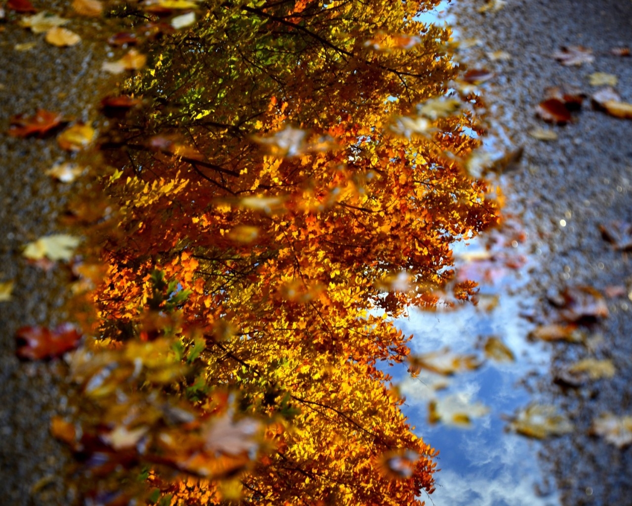 Autumn Sign Landscape for 1280 x 1024 resolution