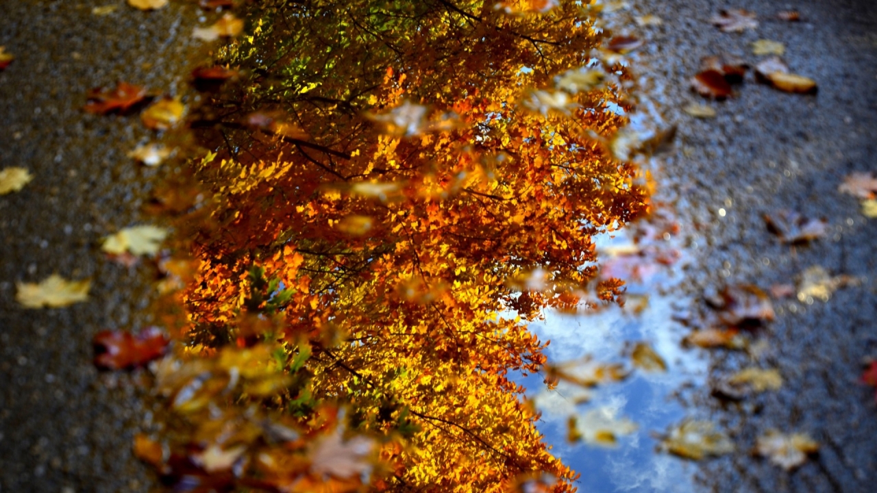 Autumn Sign Landscape for 1280 x 720 HDTV 720p resolution