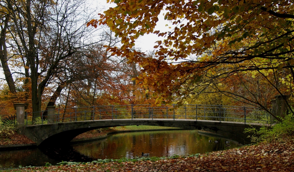 Autumn Time in Park for 1024 x 600 widescreen resolution