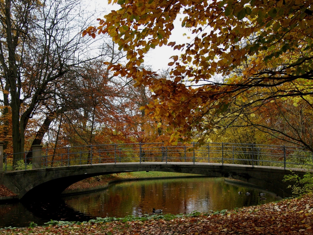 Autumn Time in Park for 1024 x 768 resolution