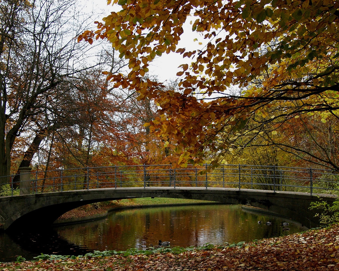 Autumn Time in Park for 1280 x 1024 resolution