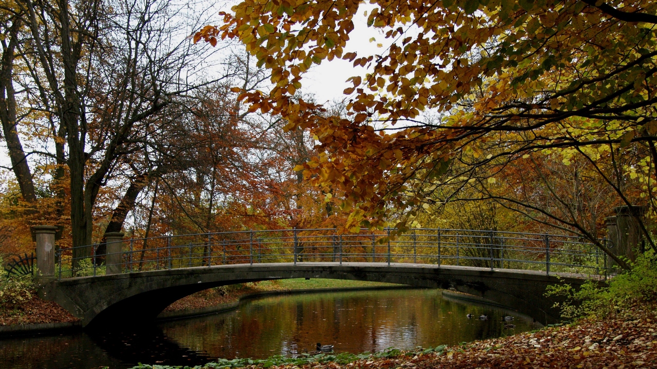 Autumn Time in Park for 1280 x 720 HDTV 720p resolution