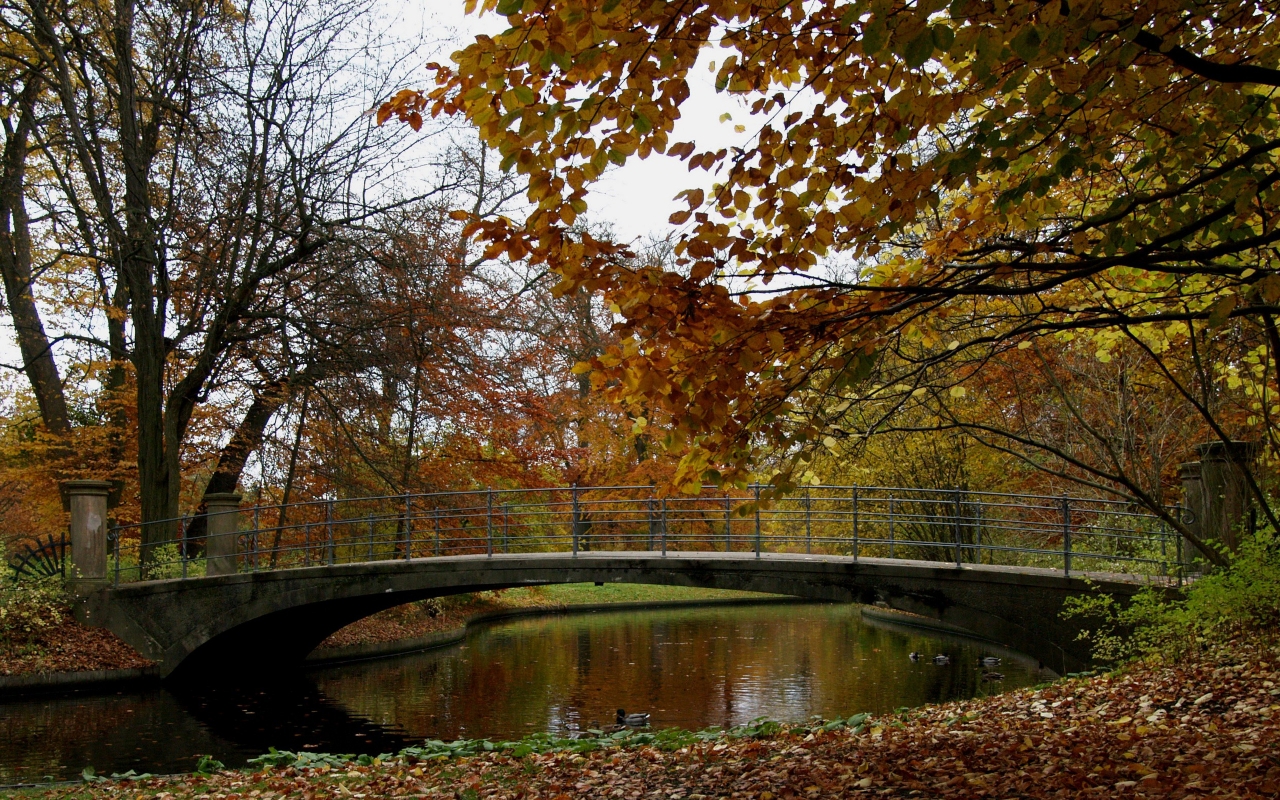 Autumn Time in Park for 1280 x 800 widescreen resolution