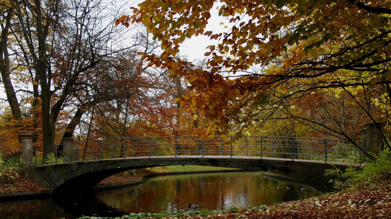 Autumn Time in Park for 1366 x 768 HDTV resolution