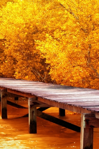 Autumn Yellow Trees for 320 x 480 iPhone resolution