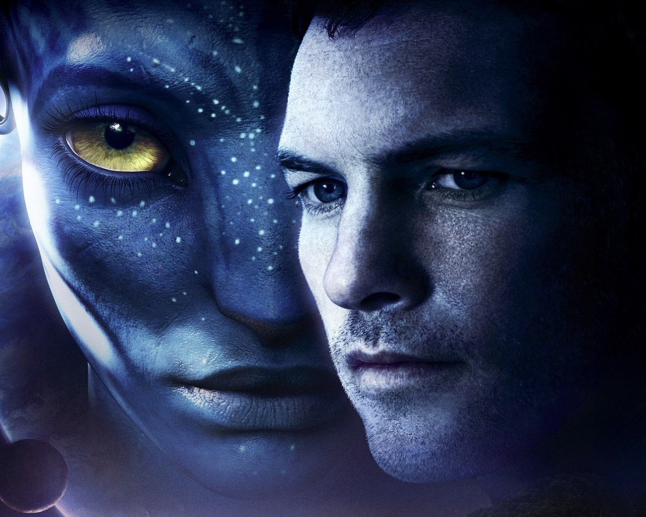 Avatar 2 2014 for 1280 x 1024 resolution
